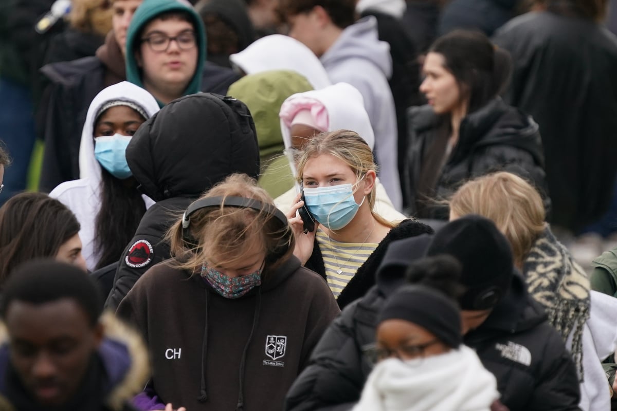 Standard News tweet media