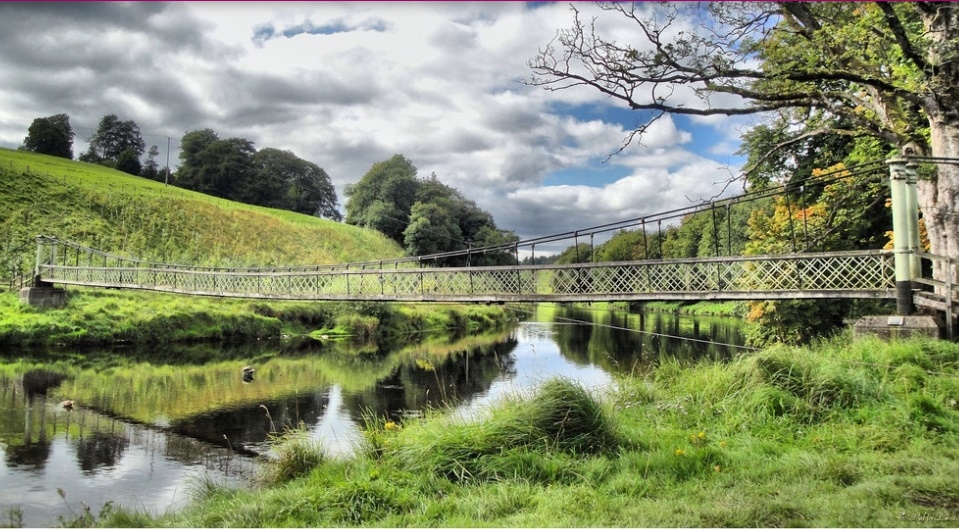 DalesBus tweet media