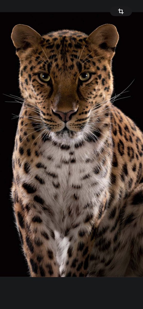 𝓞𝓵𝓮 tweet media