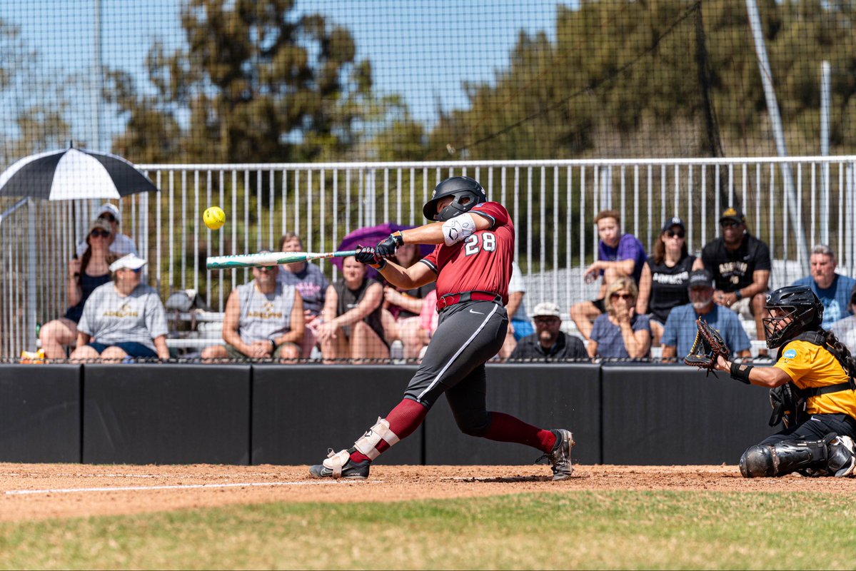 Florida Tech Stats tweet media