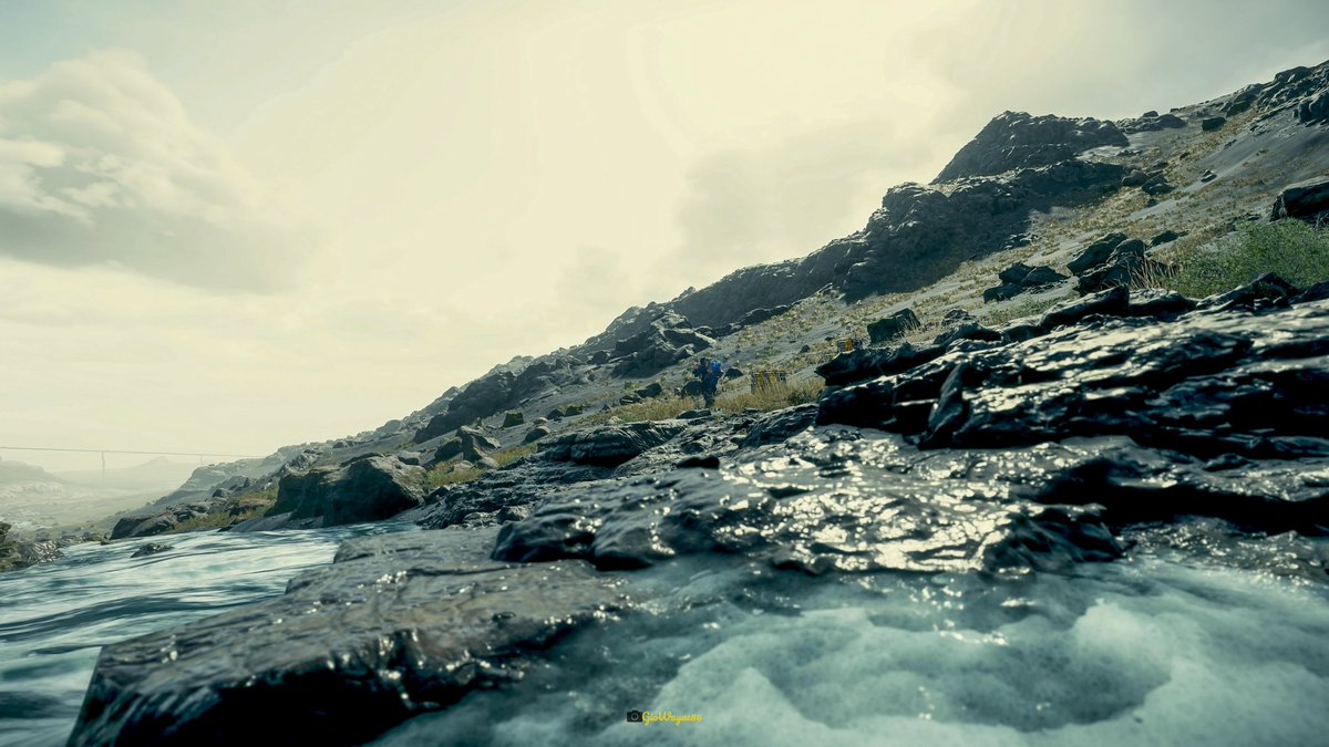 Giorgio Raimondi VP (On The Beach 📸) tweet media