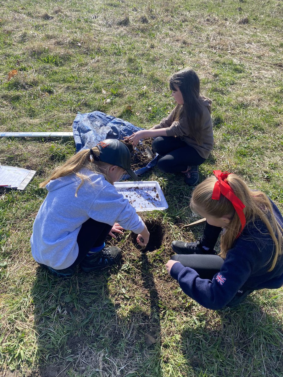 Ysgol Sychdyn tweet media