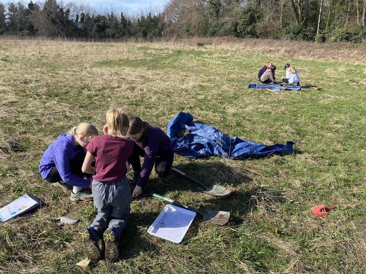 Ysgol Sychdyn tweet media