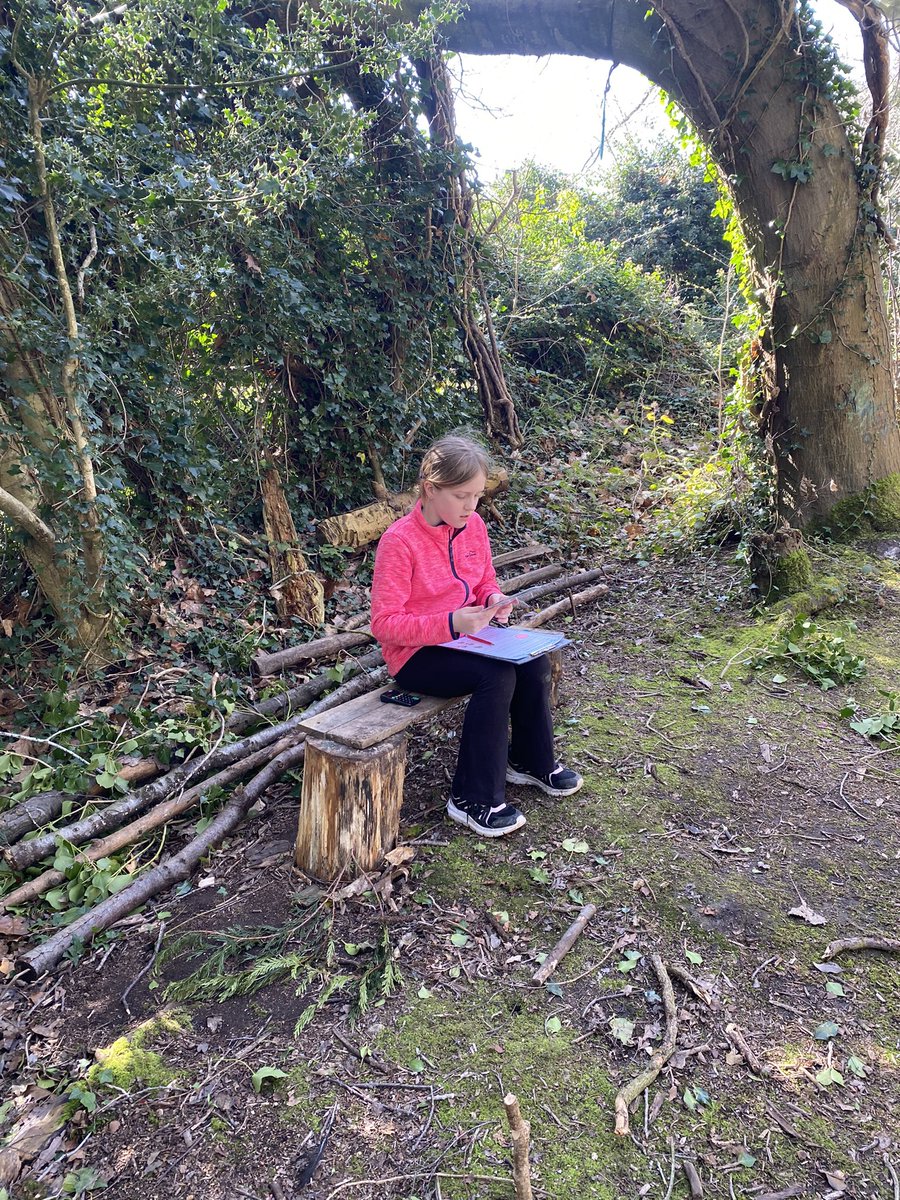 Ysgol Sychdyn tweet media