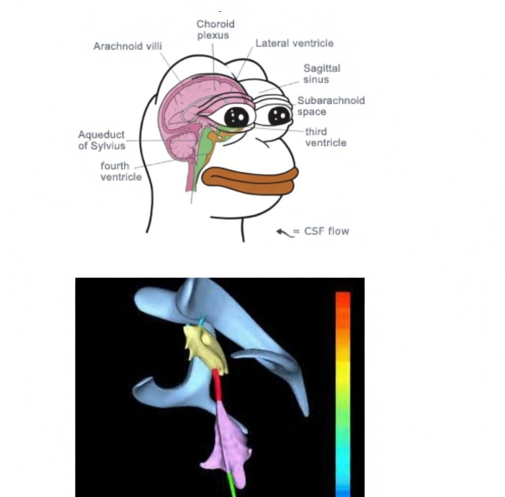 just me R2 tweet media