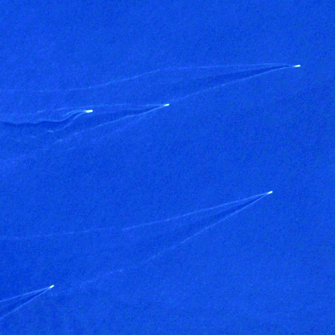 Lord Bebo tweet media