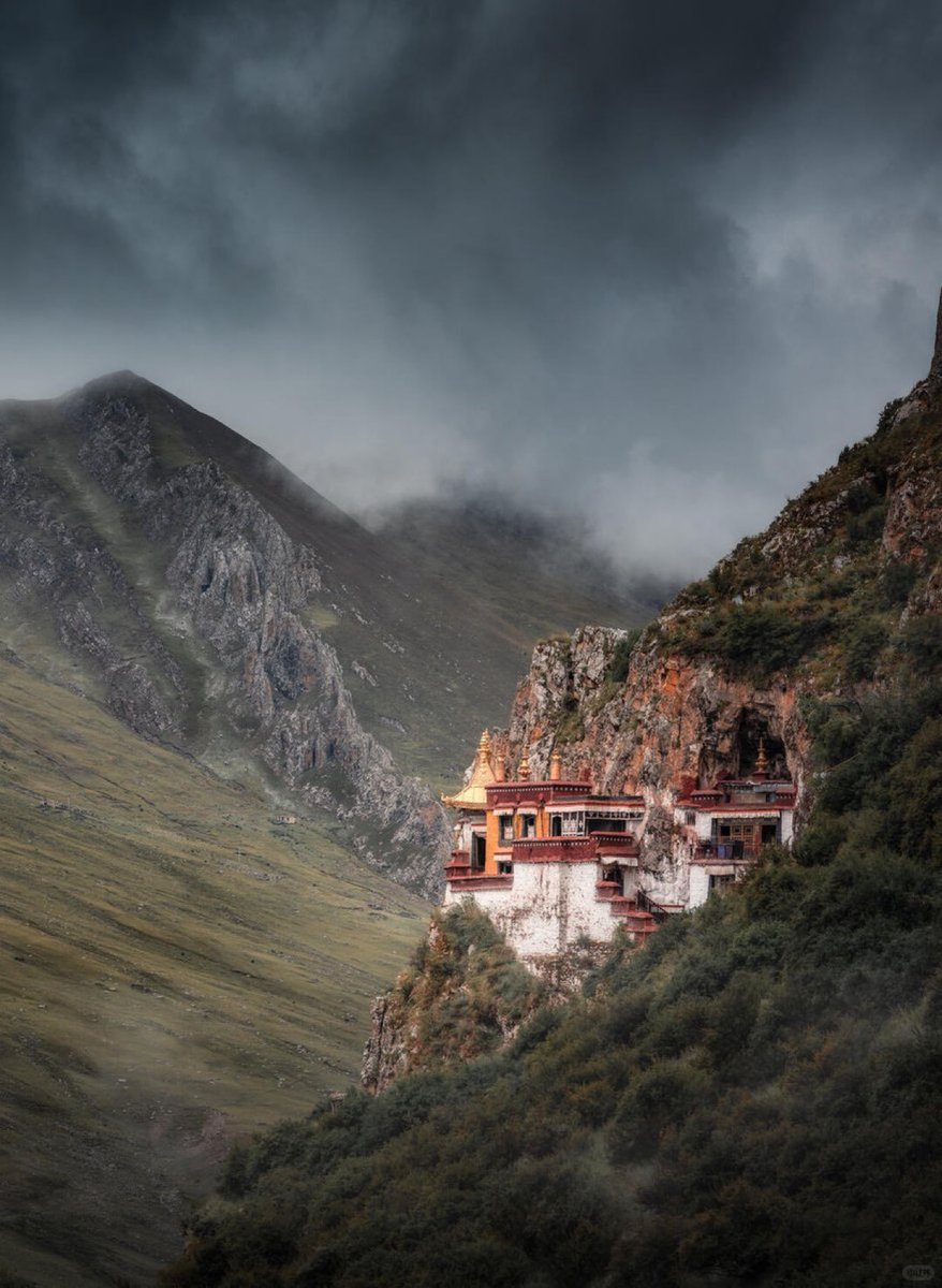 Thinley Wangyal tweet media