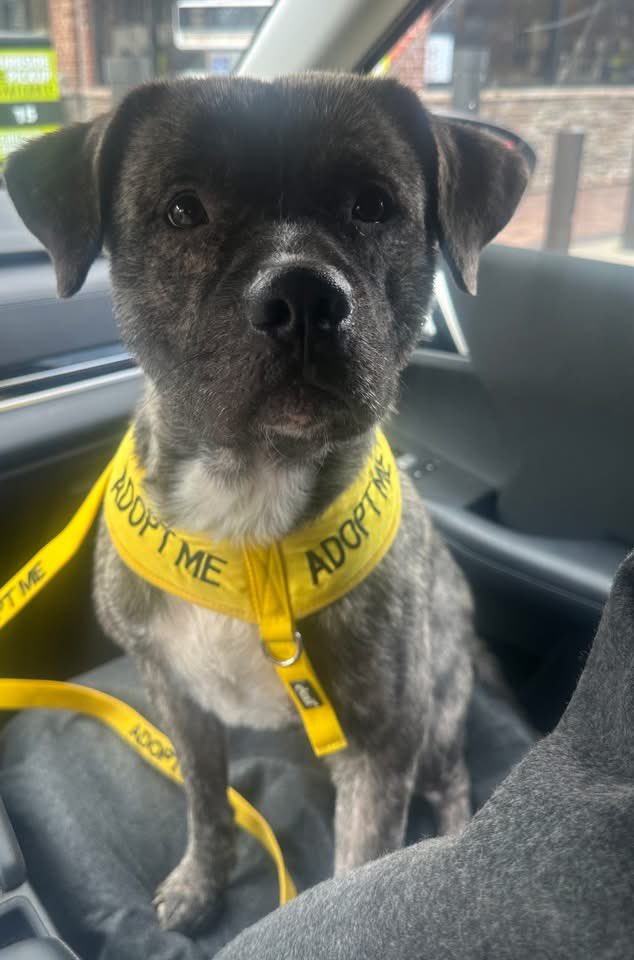 Soft Side tweet media