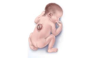 The_Bearded_Dr_Sina tweet media