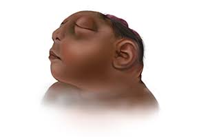 The_Bearded_Dr_Sina tweet media