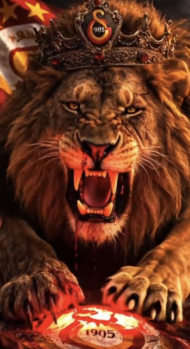 Gala A A K tweet media