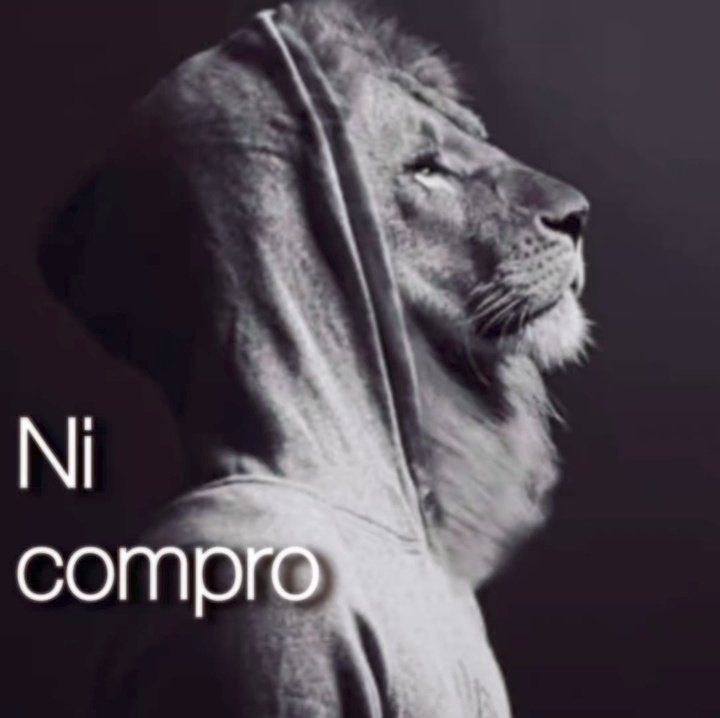 𝖗𝖆𝖒𝖎_ tweet media