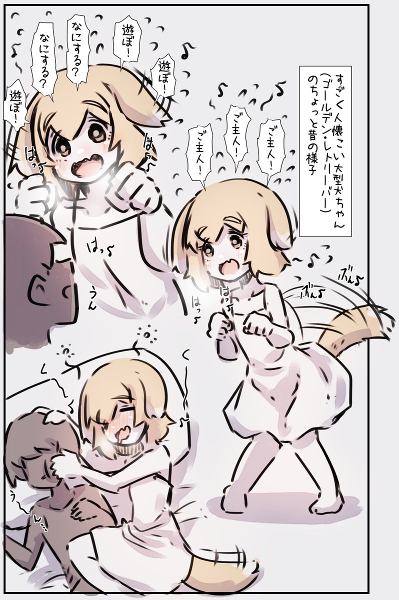 凄く人懐こい大型犬(ゴールデンレトリーバー)ちゃんと一緒に育つ 