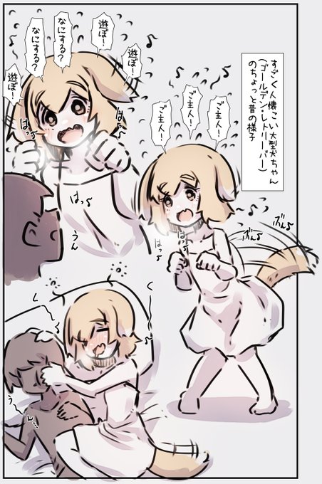 凄く人懐こい大型犬(ゴールデンレトリーバー)ちゃんと一緒に育つ 