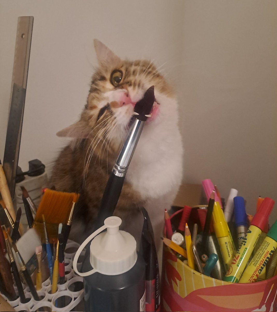 The Duck tweet media