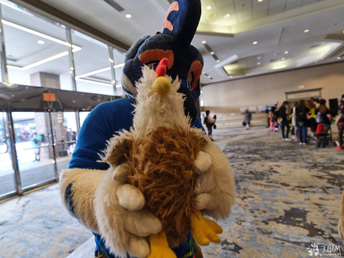 TexasRaptor 🔜 TFF tweet media