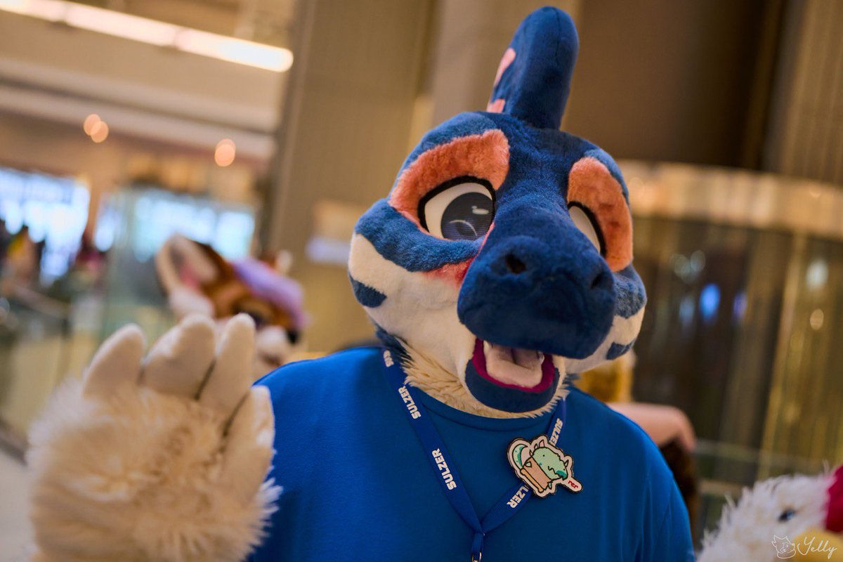 TexasRaptor 🔜 TFF tweet media