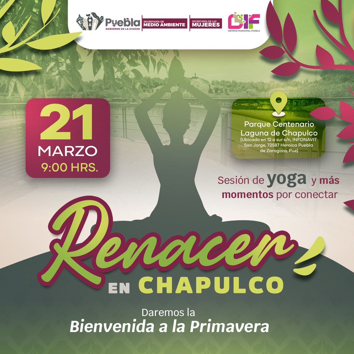 AmbientePuebla's tweet photo. ✨🌸 En el marco del inicio de la primavera, invitamos a las mujeres a participar en una sesión de yoga en contacto con la naturaleza, promoviendo el bienestar físico y emocional.

📅 21 de marzo | 9:00 h
📍 Chapulco

💫 Porque el bienestar de las mujeres también es prioridad. https://t.co/WiA8VH3gzX