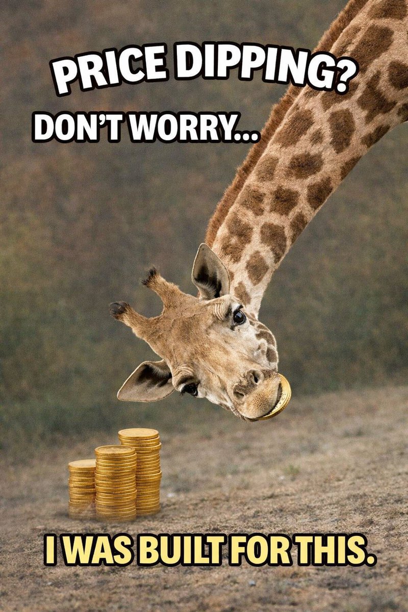 KittoBets's tweet photo. We built for this 🦒

#MemeToken 
#Memecoinlaunch 
#SolanaMeme 
#SolanaEcosystem 
#btc https://t.co/kFle7S2A83