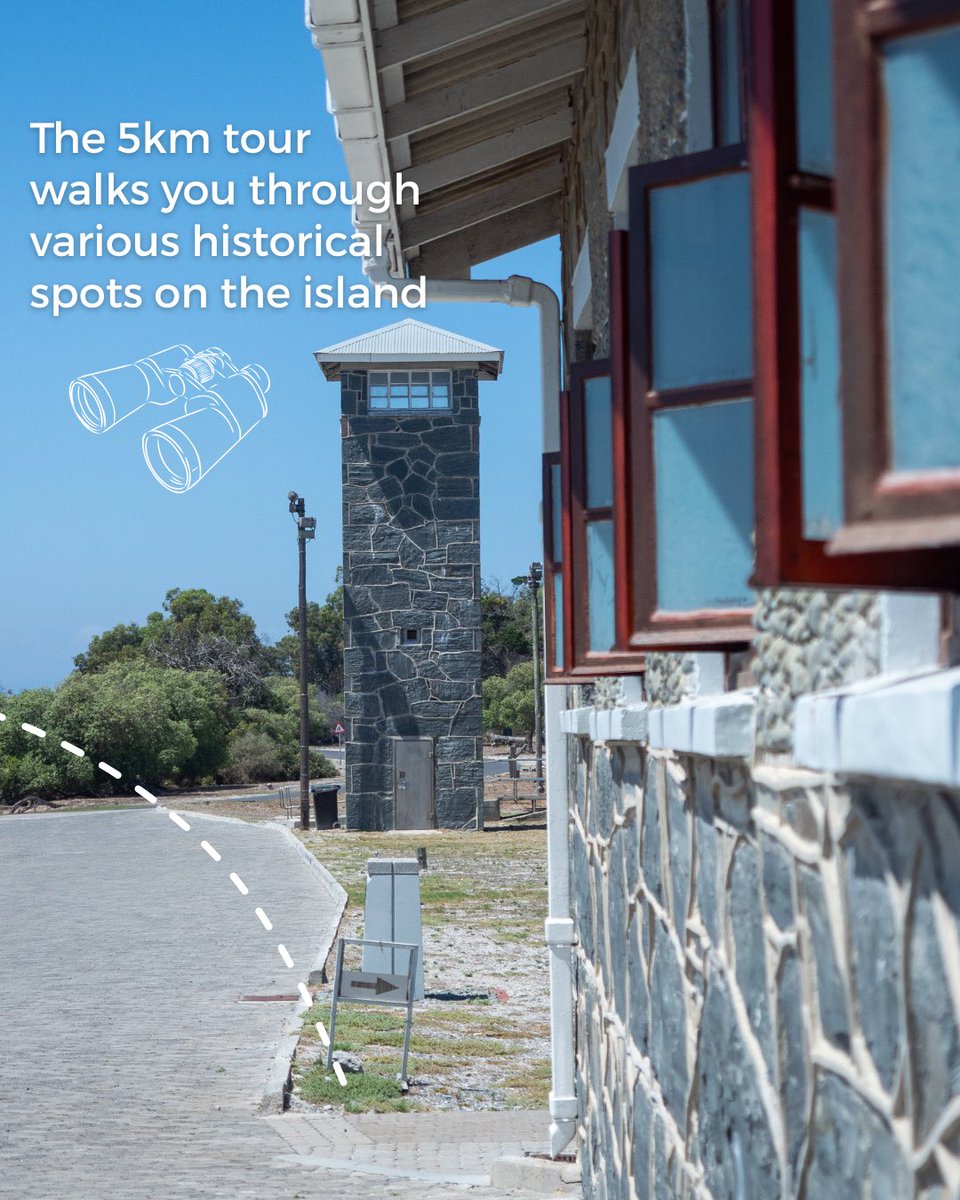 Cape Town Big 6 tweet media