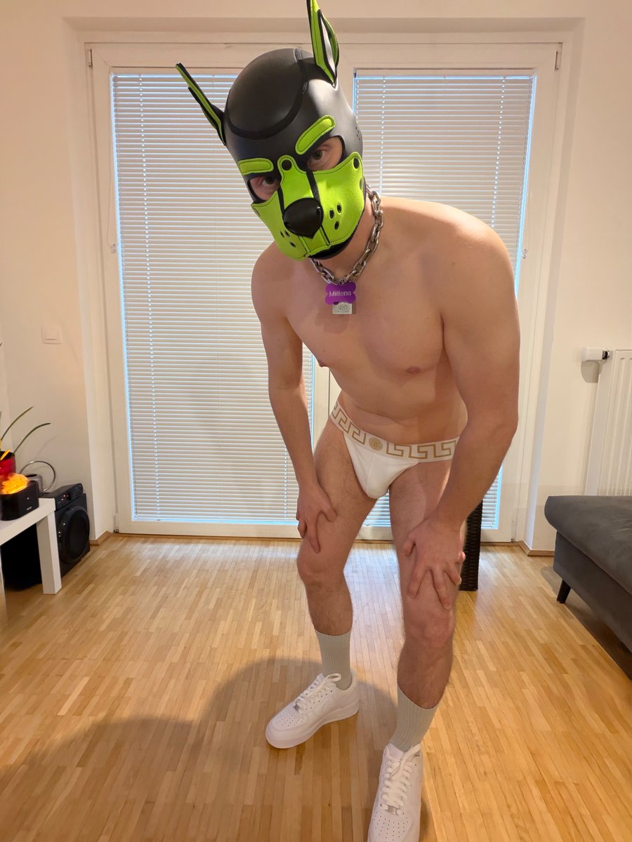 Mittens 🇦🇹 tweet media