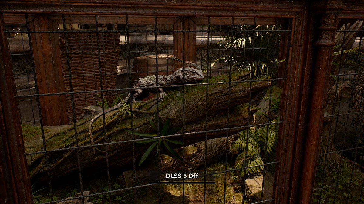 Jacob Freeman tweet media