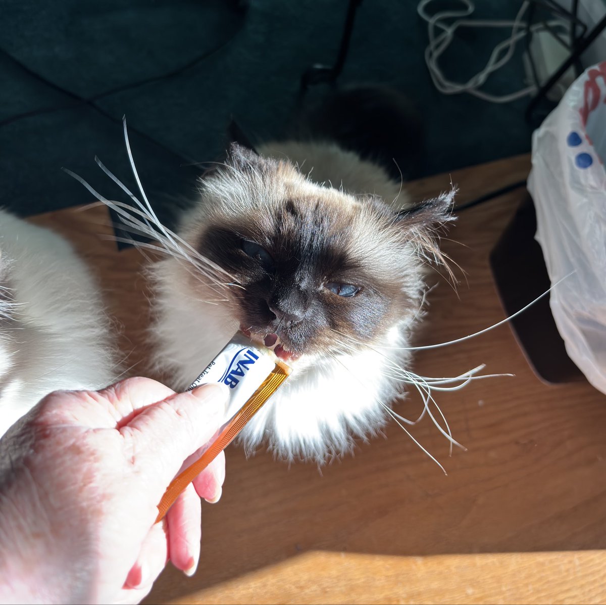 Elizabeth Griffith tweet media