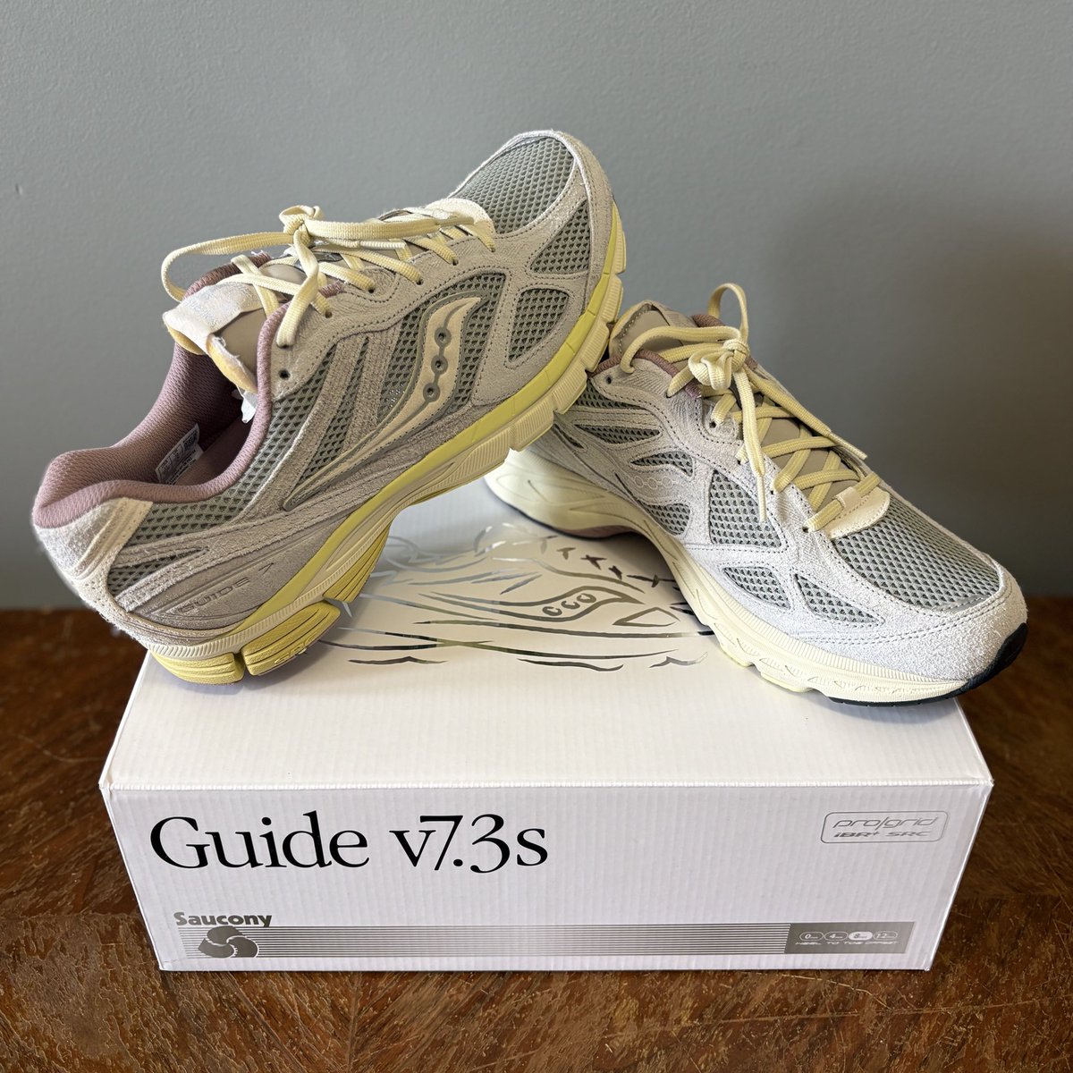 Jared Wellman tweet media