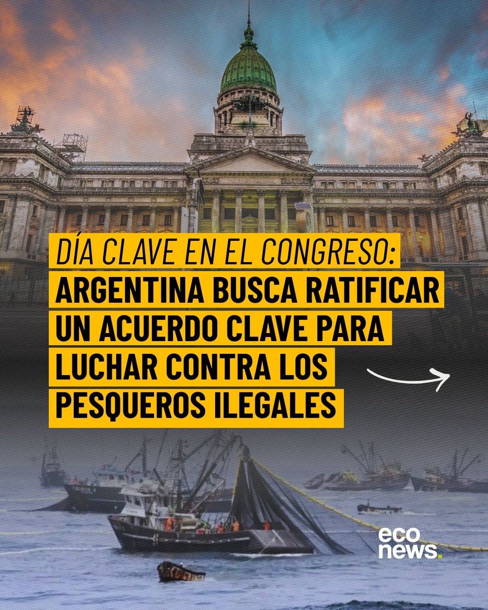 EcoNews en español tweet media