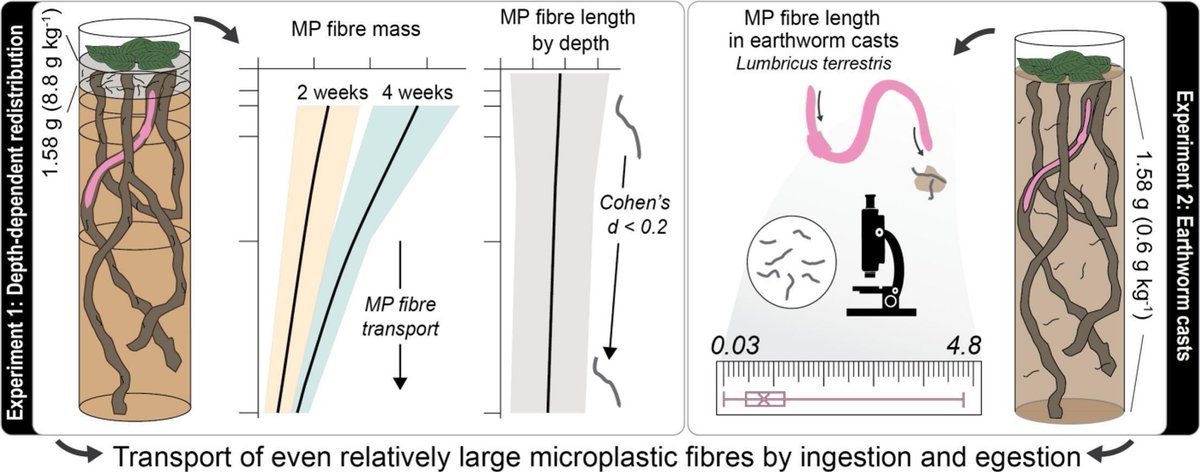 Geoderma - the global #OA journal of soil science tweet media
