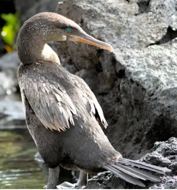 Tablesalt 🇨🇦🇺🇸 tweet media