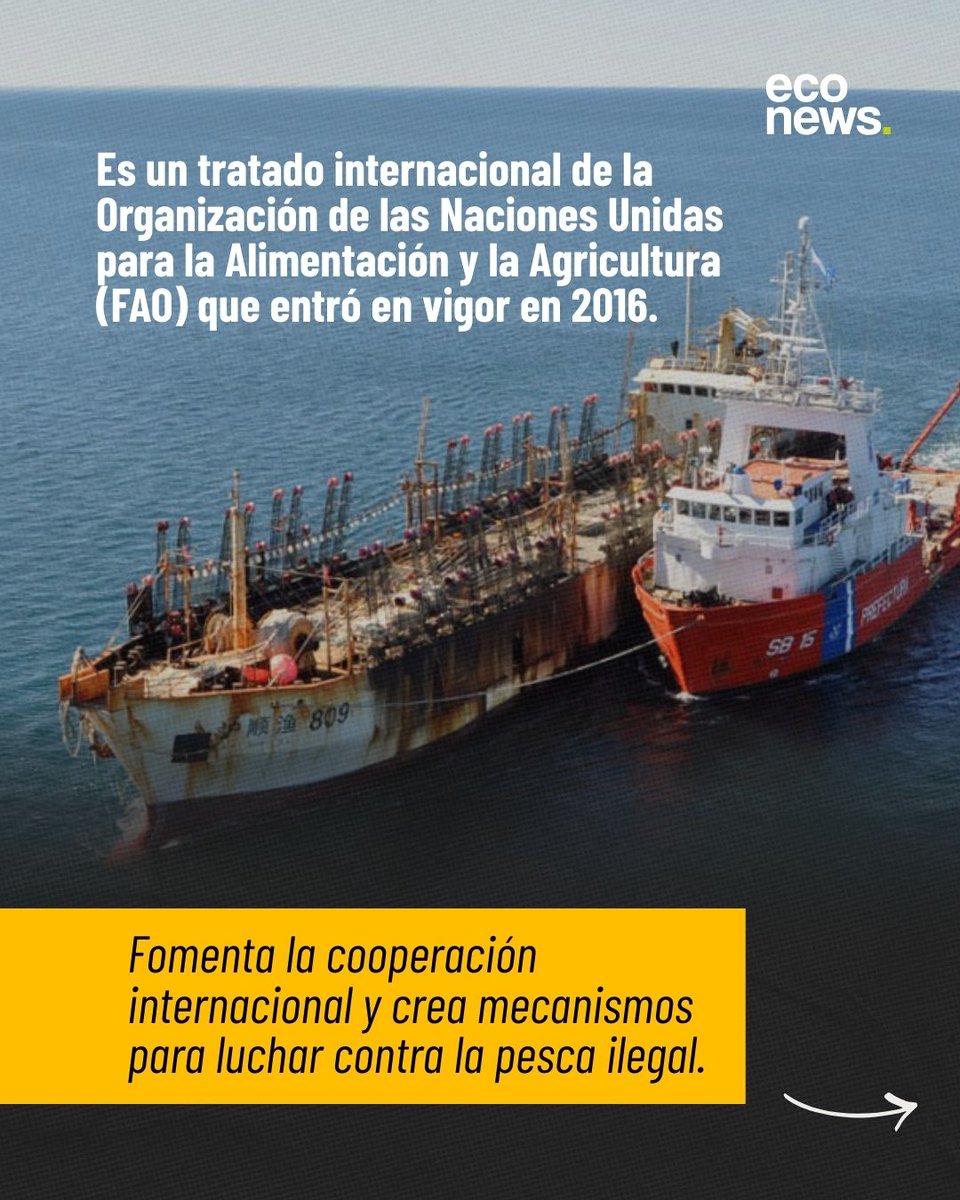 EcoNews en español tweet media