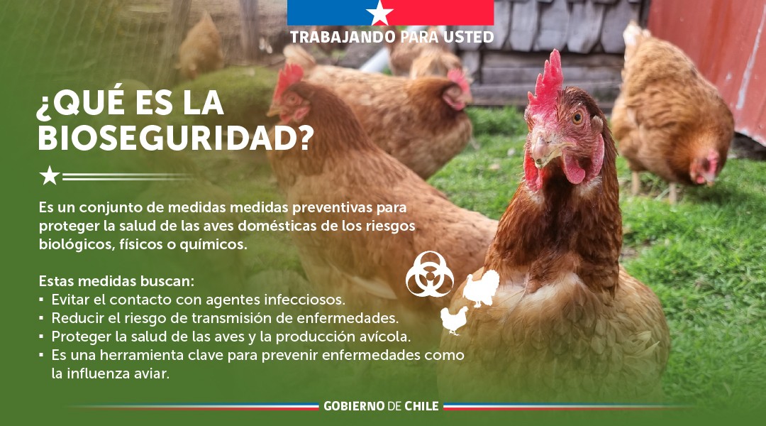 Portal Agroclimático tweet media