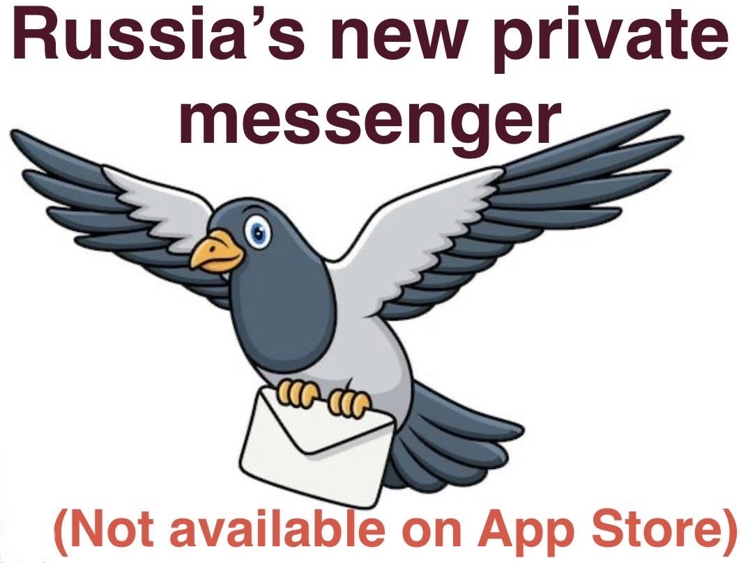 Armando Nontelodico tweet media