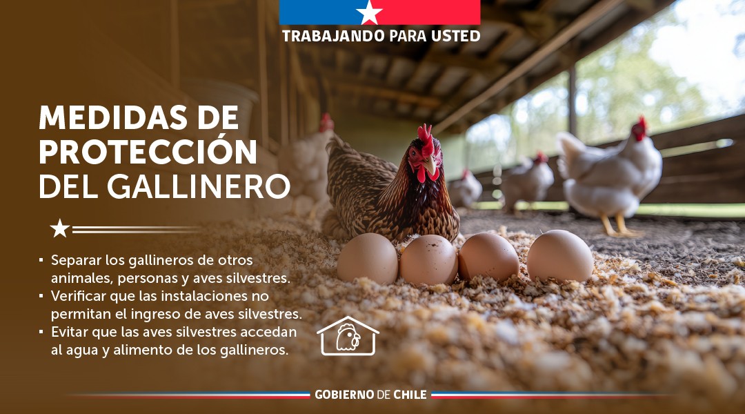 Portal Agroclimático tweet media