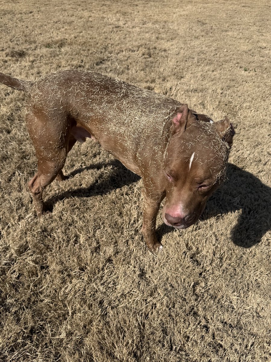 Carson Ware tweet media