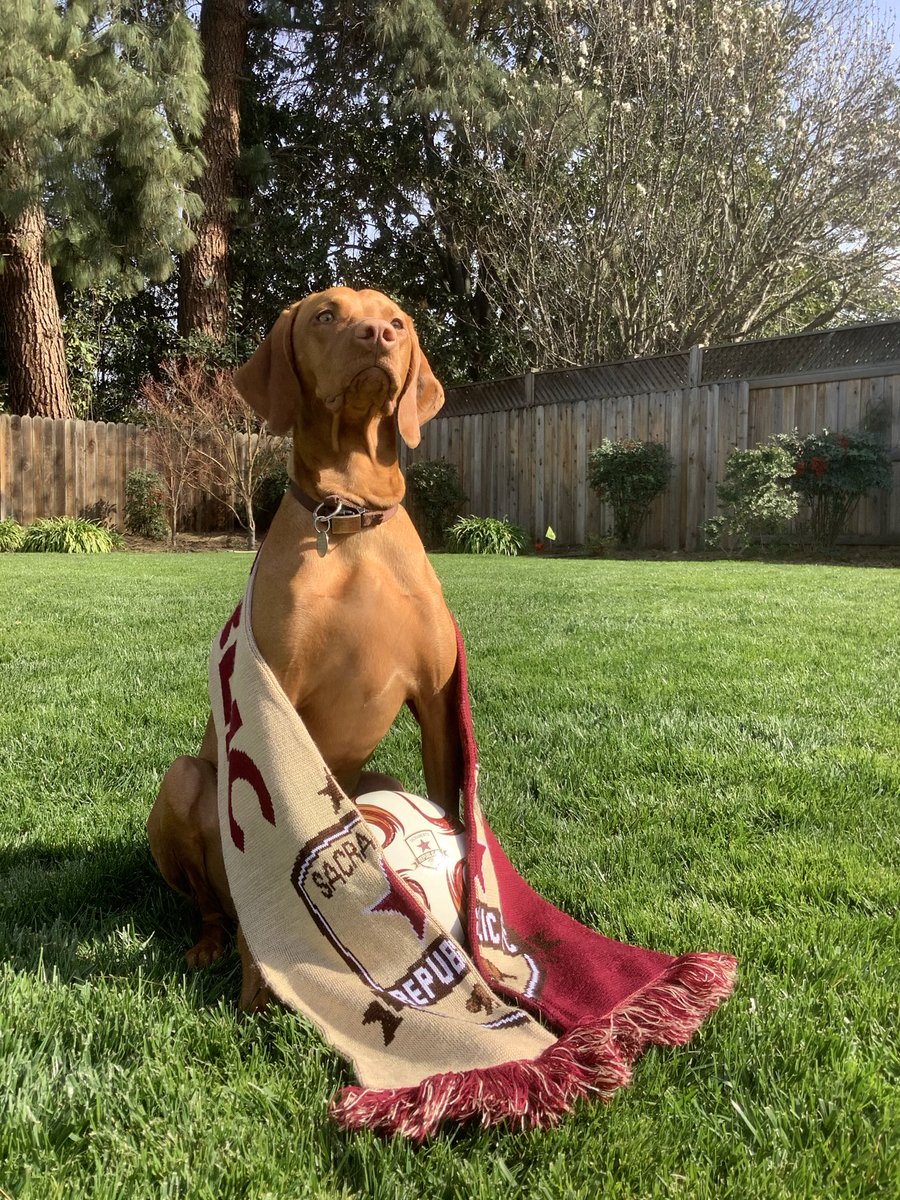 LFG <a href="/SacRepublicFC/">Sacramento Republic FC</a> 

Time for another #USOpenCup run!