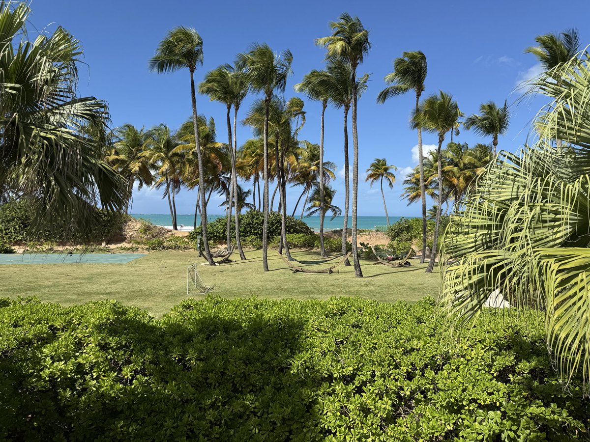 DrCKeel's tweet image. Great day at start of #SESAUA2026! #bestsection