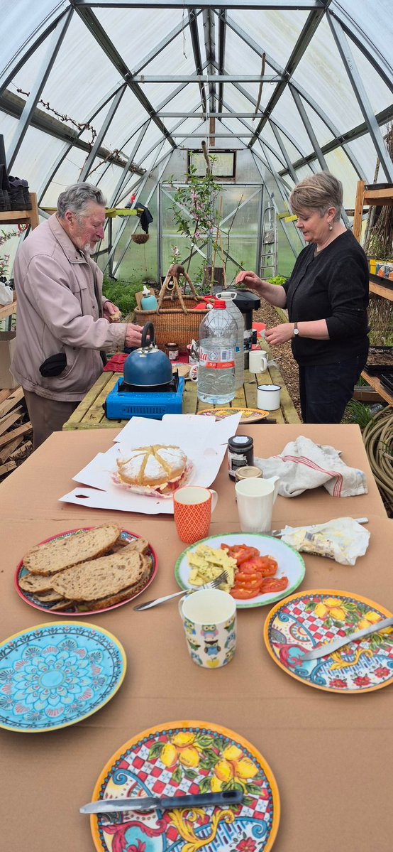 Togher Community Garden tweet media