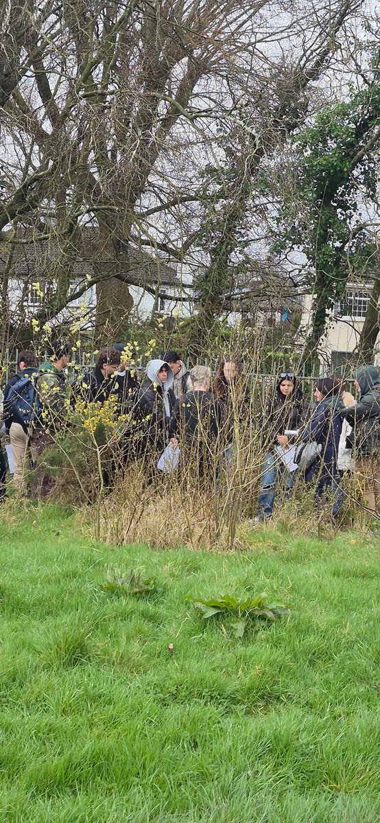 Togher Community Garden tweet media