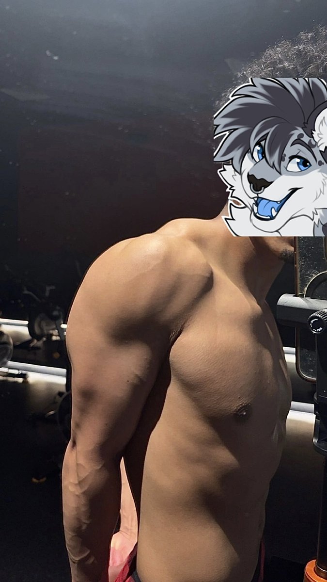 Puffuls 🔜 AC tweet media