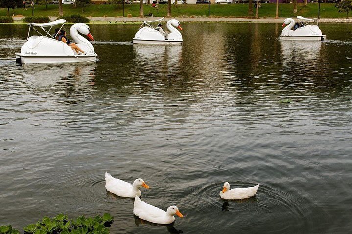 Composition tweet media