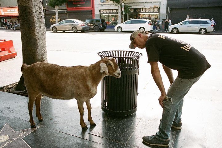 Composition tweet media