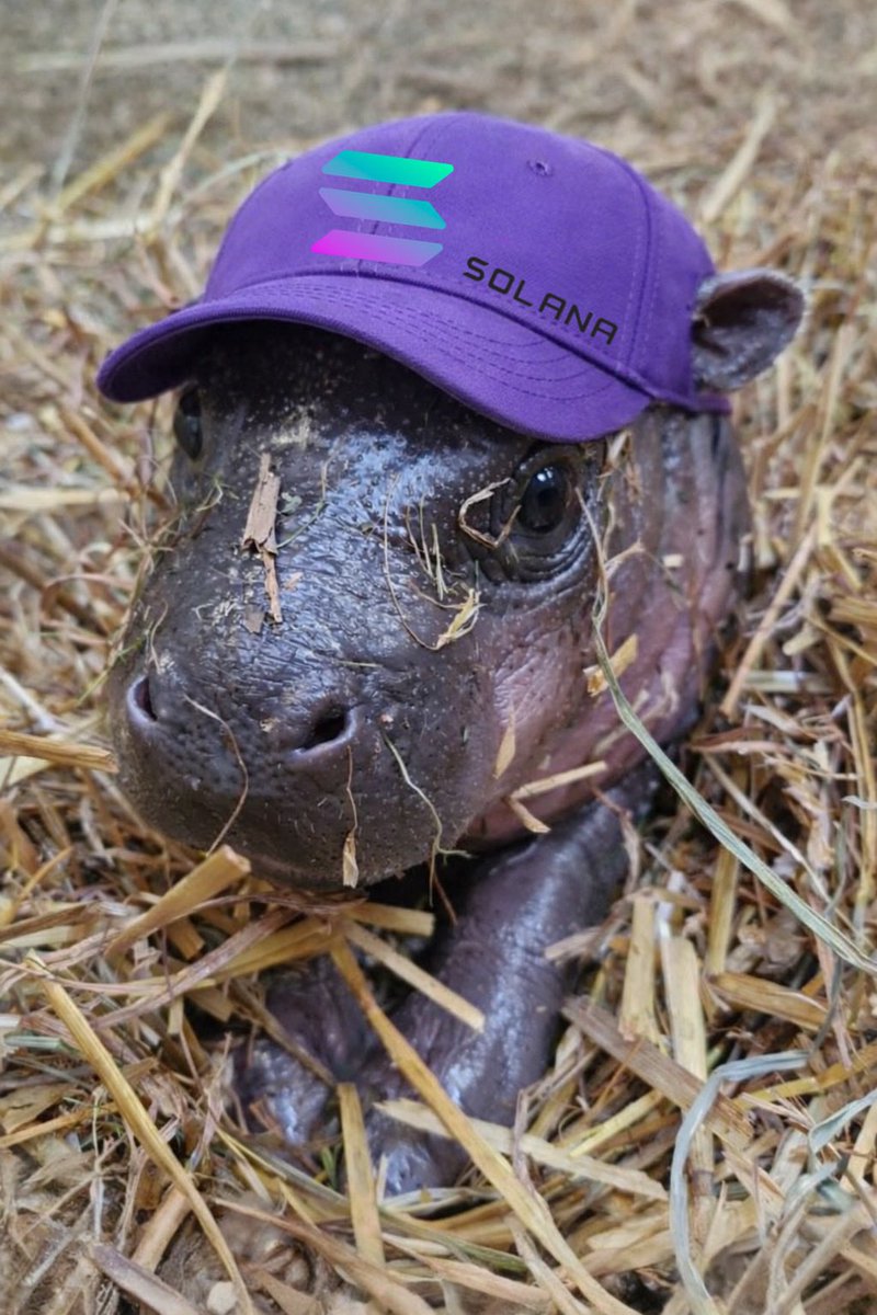 MCC 🫥 tweet media