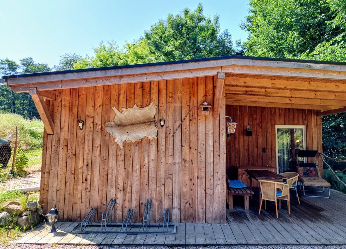 Sarah 🐈⬛ tweet media