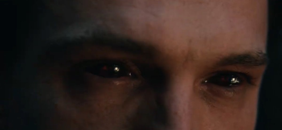 🌷 , petra! 𝜗𝜚 tweet media