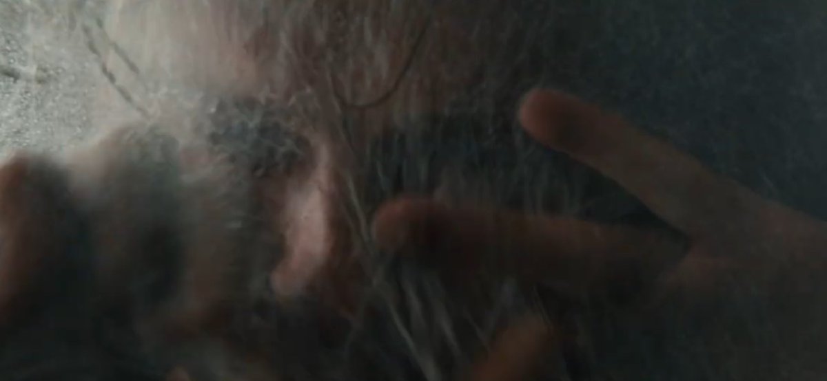 🌷 , petra! 𝜗𝜚 tweet media