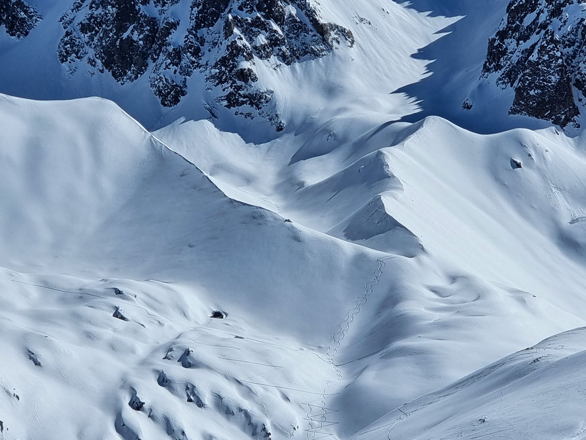 Melaine Le Roy tweet media