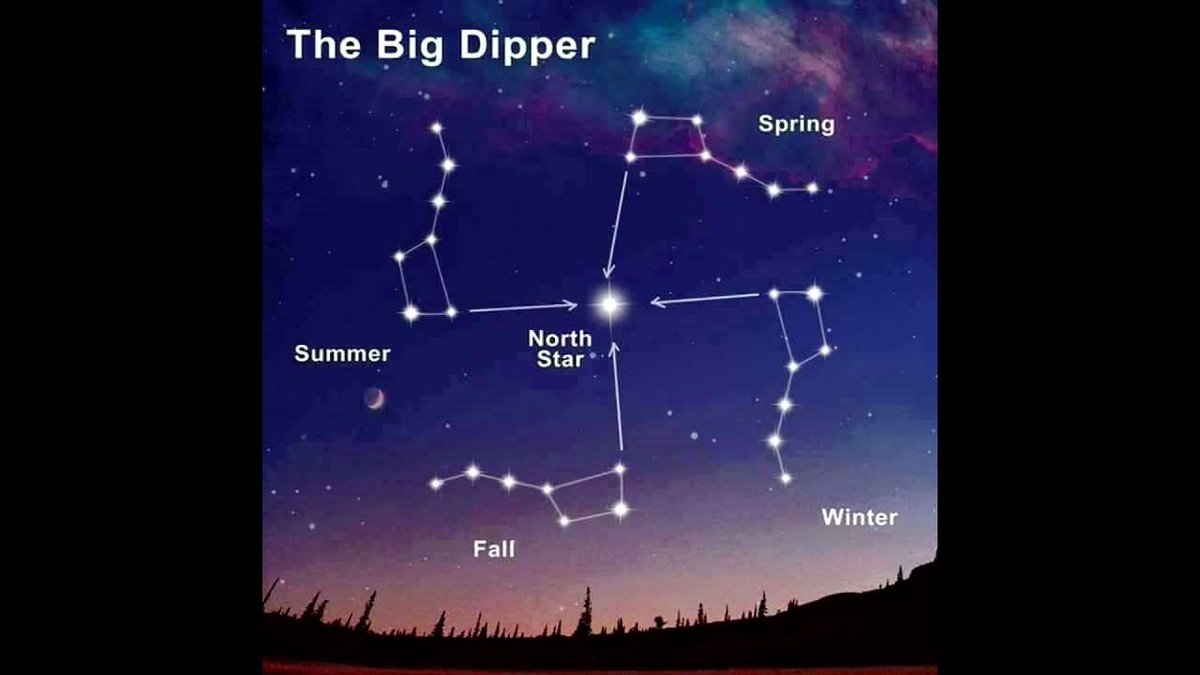 Beary Livemore tweet media