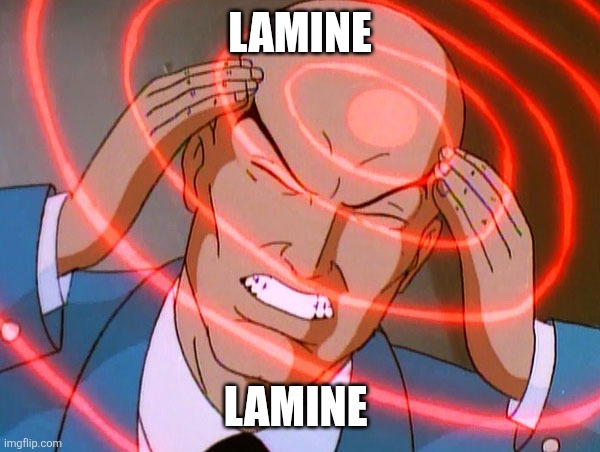 Te follo? 🇮🇱 tweet media